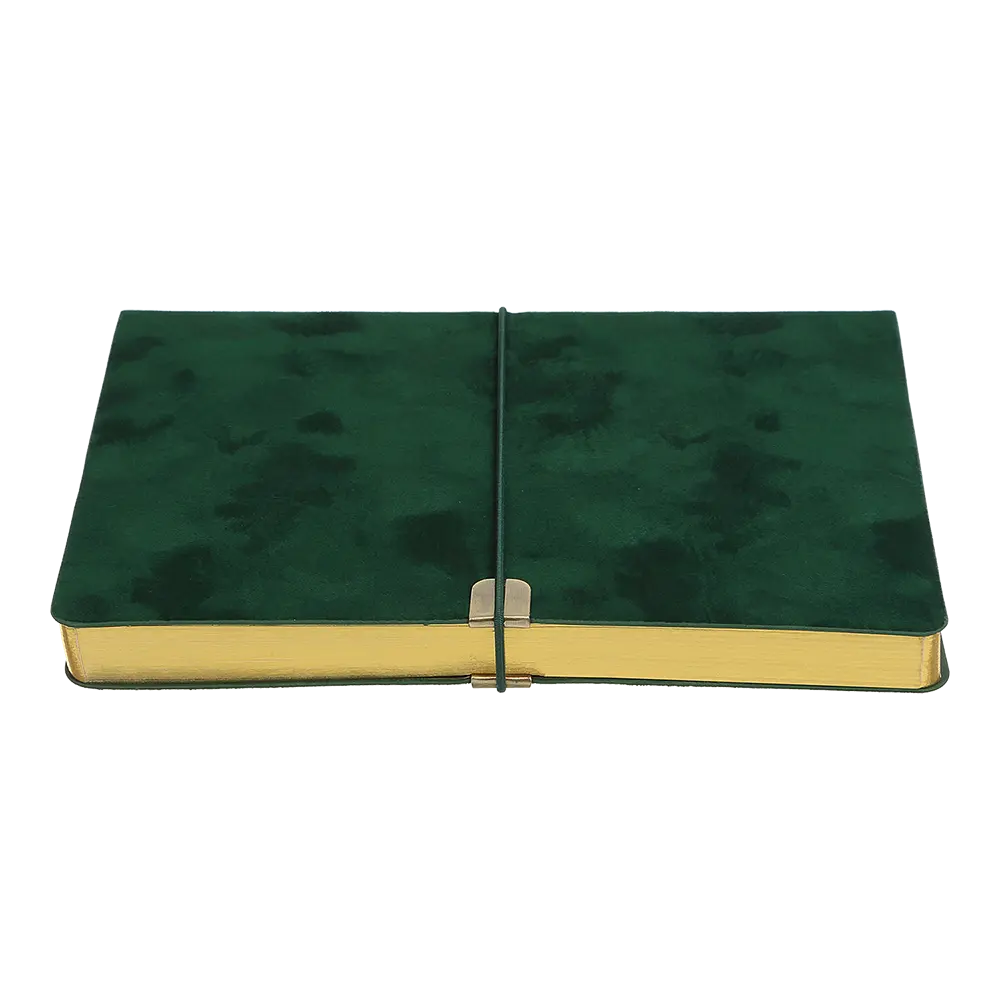 Щоденник недатований Buromax Velour A5 штучна шкіра 336 сторінок зелений (BM.20770-04) - фото 4