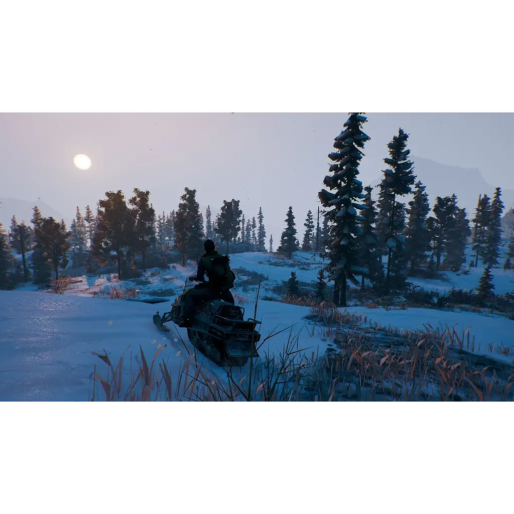 Ключ активации Microsoft Open Country для Xbox One/Series - фото 7