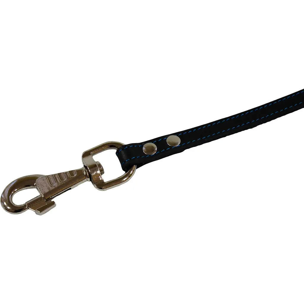 Шкіряний повідець Lucky Pet, 120х1 см, чорно-блакитний - фото 2