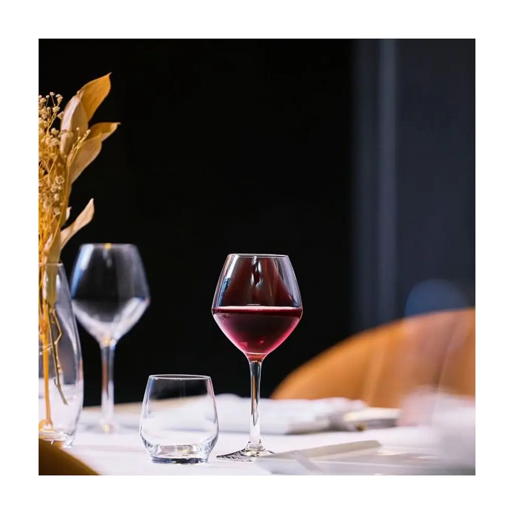 Келих Chef & Sommelier серія "Cabernet Vins Jeunes" 580 мл (E2789) - фото 2
