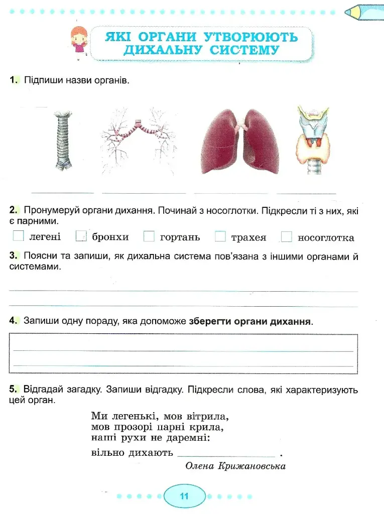 Я досліджую світ 3 клас. Робочий зошит. Частина 2 - фото 2