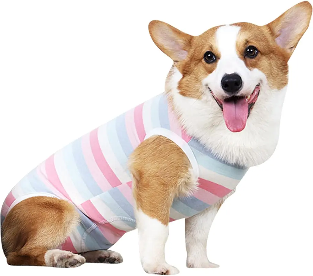 Костюм для відновлення собак WanTalk Striped Recovery Suit, Pink, XL - фото 2