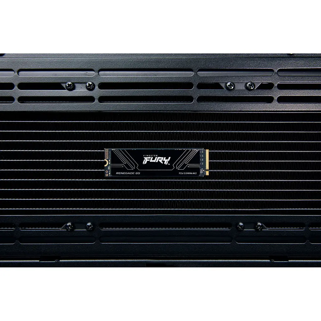 SSD накопичувач Kingston FURY Renegade G5 1TB (SFYR2S/1T0) [151769] - фото 6