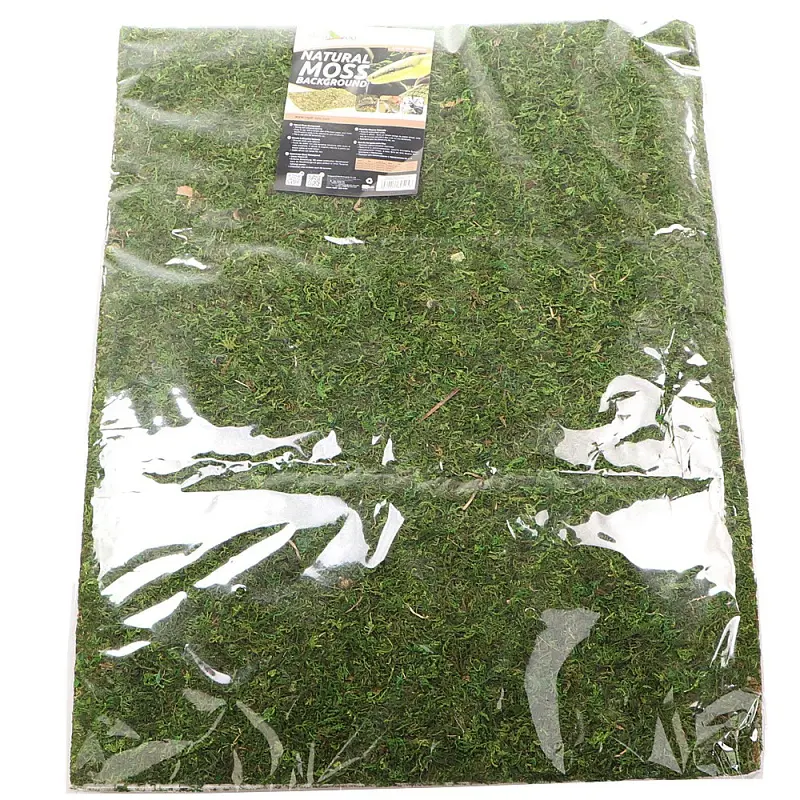 Фон з натурального моху Repti-Zoo Natural Moss Back & Bottom 20x30см 2 шт (NCM3020) для тераріуму - фото 2