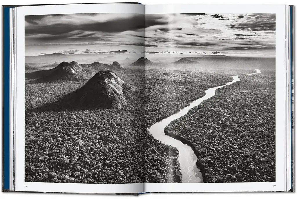 Sebastiao Salgado. Amazônia. 45th Edition - фото 2