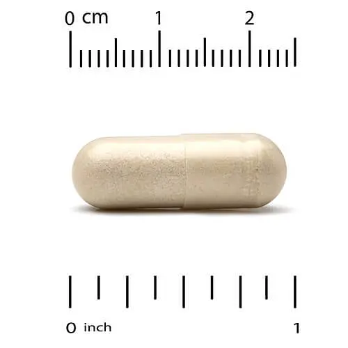 Гриби Reishi Full-Spectrum 90 Capsules CGN vit0006080 - фото 3