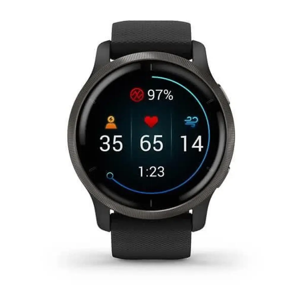 Смарт-часы Garmin Venu 2 Slate Stainless Steel Bezel with Black Case and Silicone Band (010-02430-11/01) - фото 2