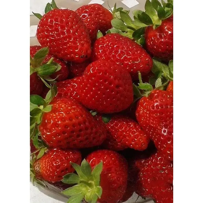 Саджанець Agro-Market Полуниця Чудо світу 5шт (ремонтантний сорт) (44700) - фото 7
