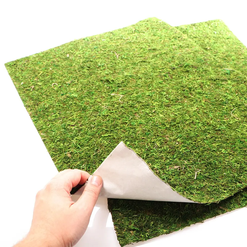 Фон з натурального моху Repti-Zoo Natural Moss Back & Bottom 50x25см 2 шт (NCM5025) для тераріуму - фото 3