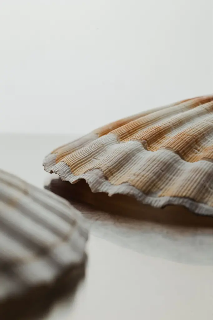 Келих Shell Glass 90 мл - фото 5