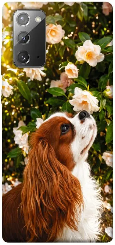 TPU чохол Demsky Flower spaniel для Samsung Galaxy Note 20