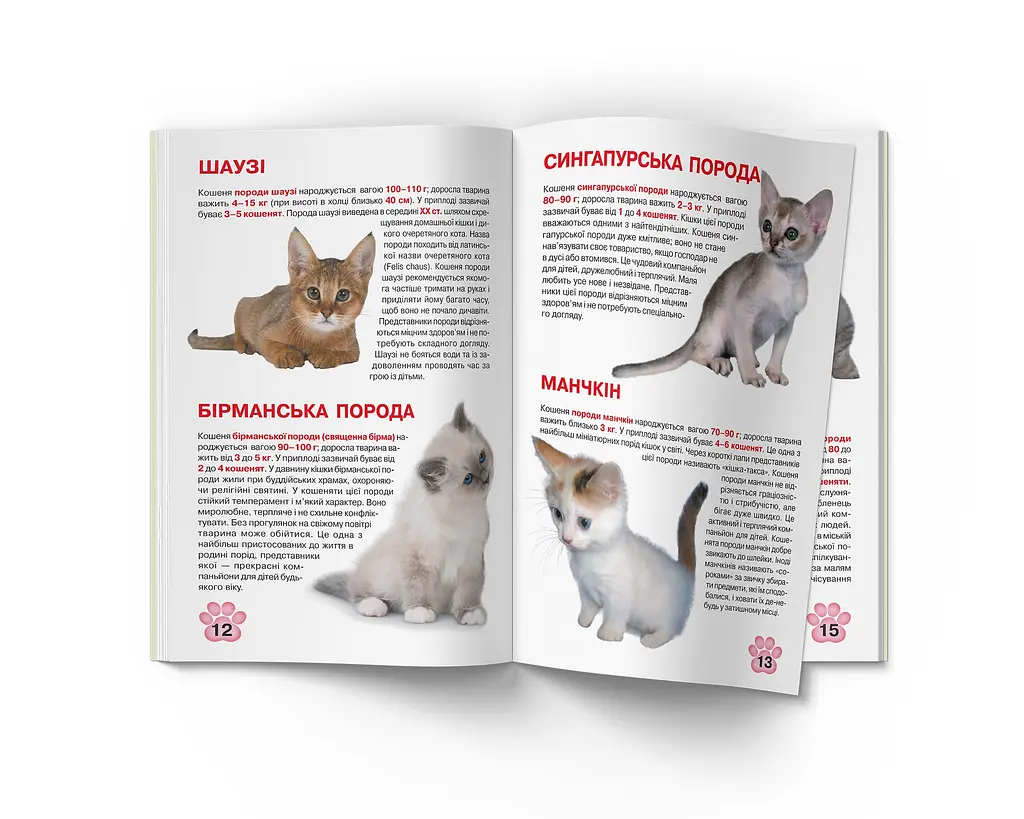 Велика книга Кристал Бук Кошенята (F00019383) - фото 5