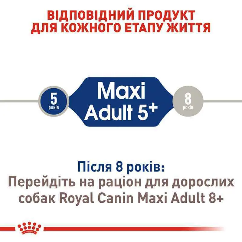 Сухой корм для собак крупных пород старше 5 лет Royal Canin Maxi Adult 5+, 4 кг (3008040) - фото 7