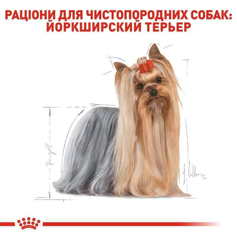 Сухий корм для дорослих собак породи Йоркширський Тер'єр Royal Canin Yorkshire Terrier Adult, 3 кг (3051030) - фото 3