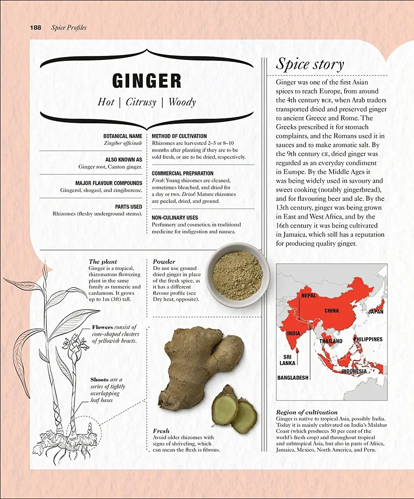 The Science of Spice - фото 11