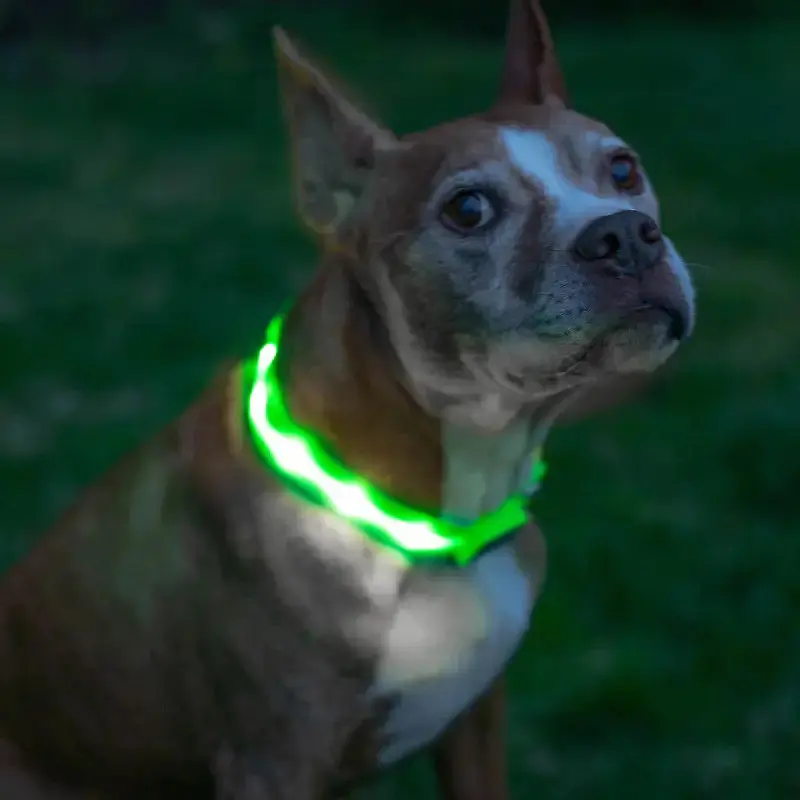 Нашийник для собак UFT PET LED 1 Green L з підсвічуванням на батарейках - фото 3