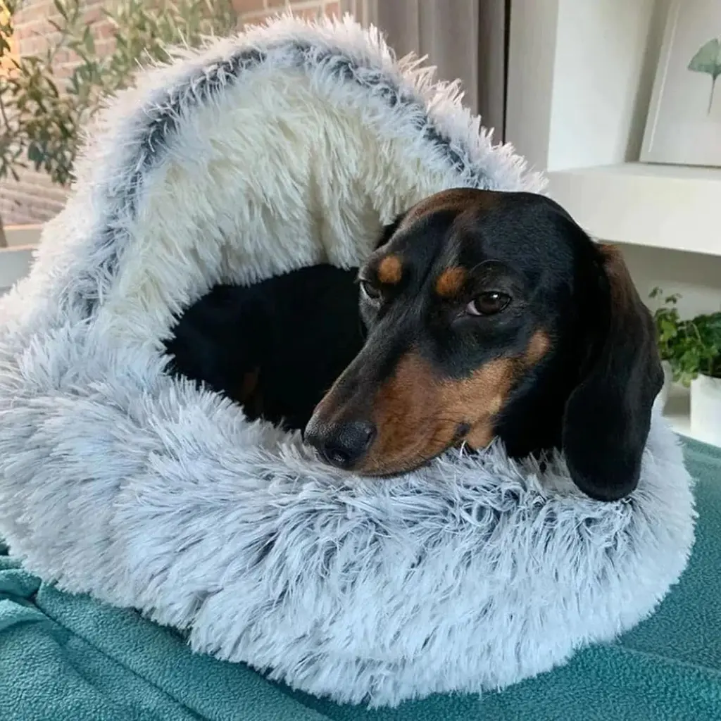 Плюшева лежанка Люпосанчик Green Plush Pet Bed для котів та собак d 80 см - фото 3