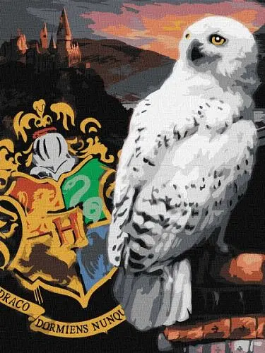 Картина за номерами - Harry Potter: Гедвіґа та Гоґвортс Warner Bros.