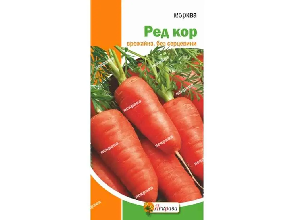 Морква ЯСКРАВА Ред Кор (20 пачок) 3 г