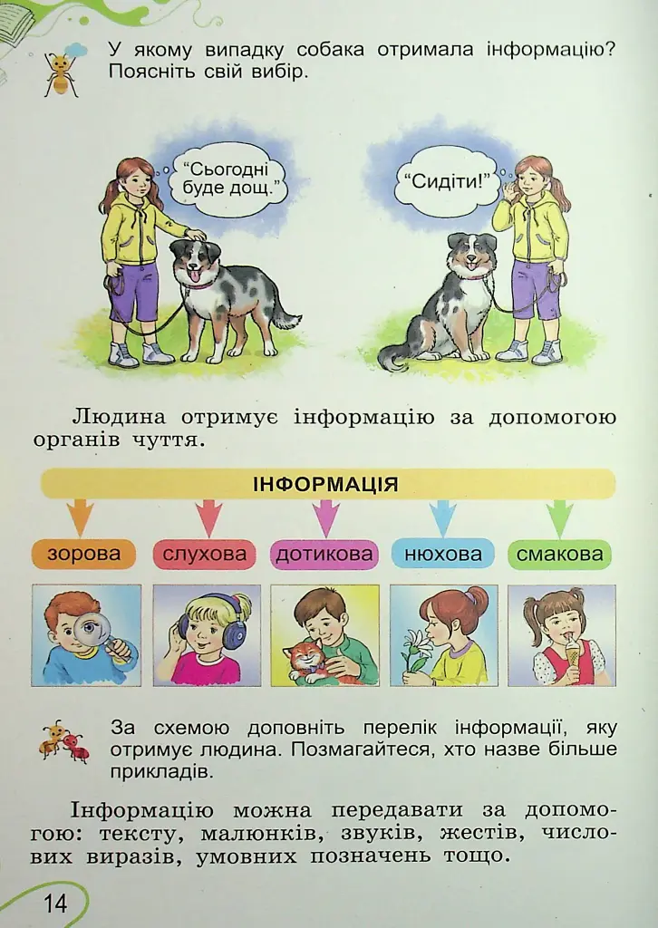 Я досліджую світ. 2 клас. Частина 1 - Світлана Тарнавська - фото 13