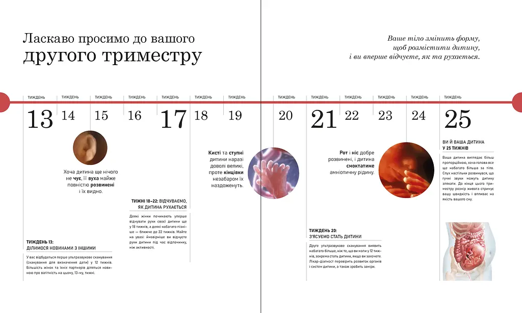 Вагітність день за днем - Меґґі Блотт (518979) - фото 6