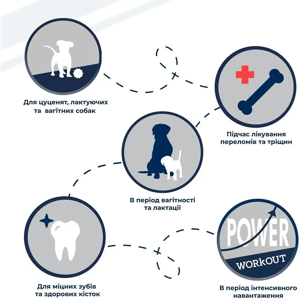 Вітамінно-мінеральна добавка для собак Dr.Clauder's Mineral & Fit Bonefort у період інтенсивного росту або для собак похилого віку 500 г - фото 2