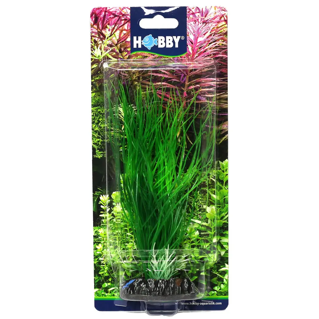Штучна рослина Hobby Sagittaria 20 см (41502) - фото 2