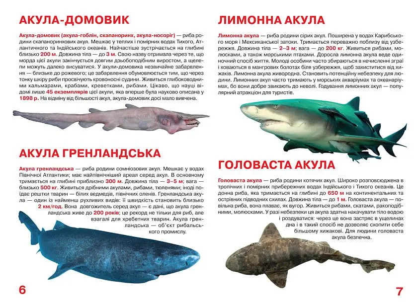 Велика книга Кристал Бук Акули (F00018784) - фото 2