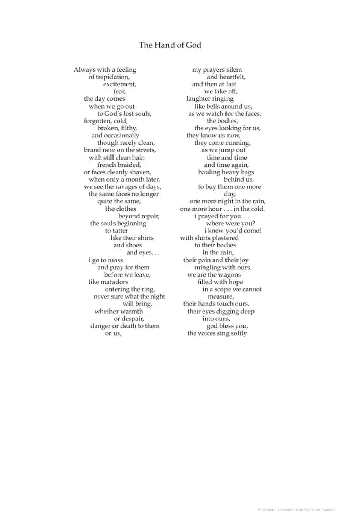 Safe Harbour - фото 3