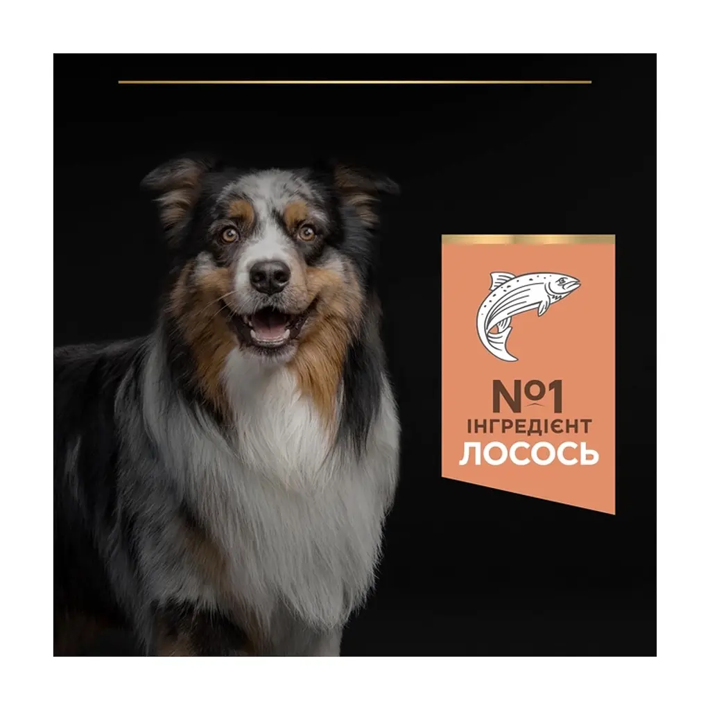 Сухий корм для собак Purina Pro Plan Dog Medium Adult Sensitive Skin з лососем і рисом 14 кг (7613035120464) - фото 7