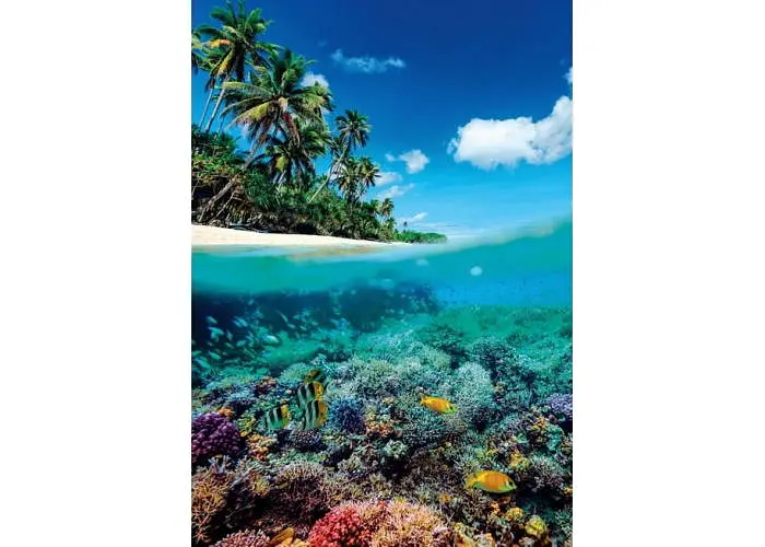 Пазл Clementoni High Quality Collection: Літній рай (High Quality Collection - Summer Paradise Puzzle - 1000 pcs.), 1000 ел. (39931) - фото 2