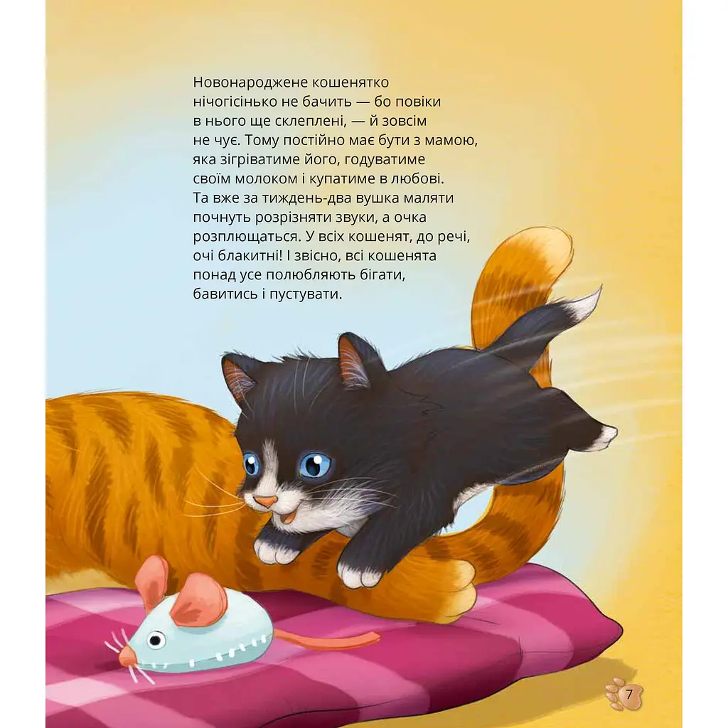 Дитяча книга Vivat Наймиліші малюки тварин - Алехандро Альґарра - фото 8