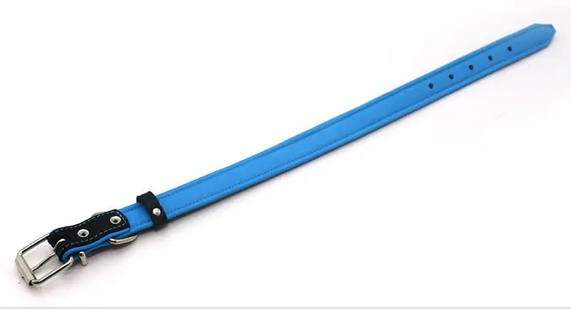 Нашийник для собак Zoo-hunt шкіряний подвійний ОД Soft чорний+блакитний 2,0/33-41 см - фото 2