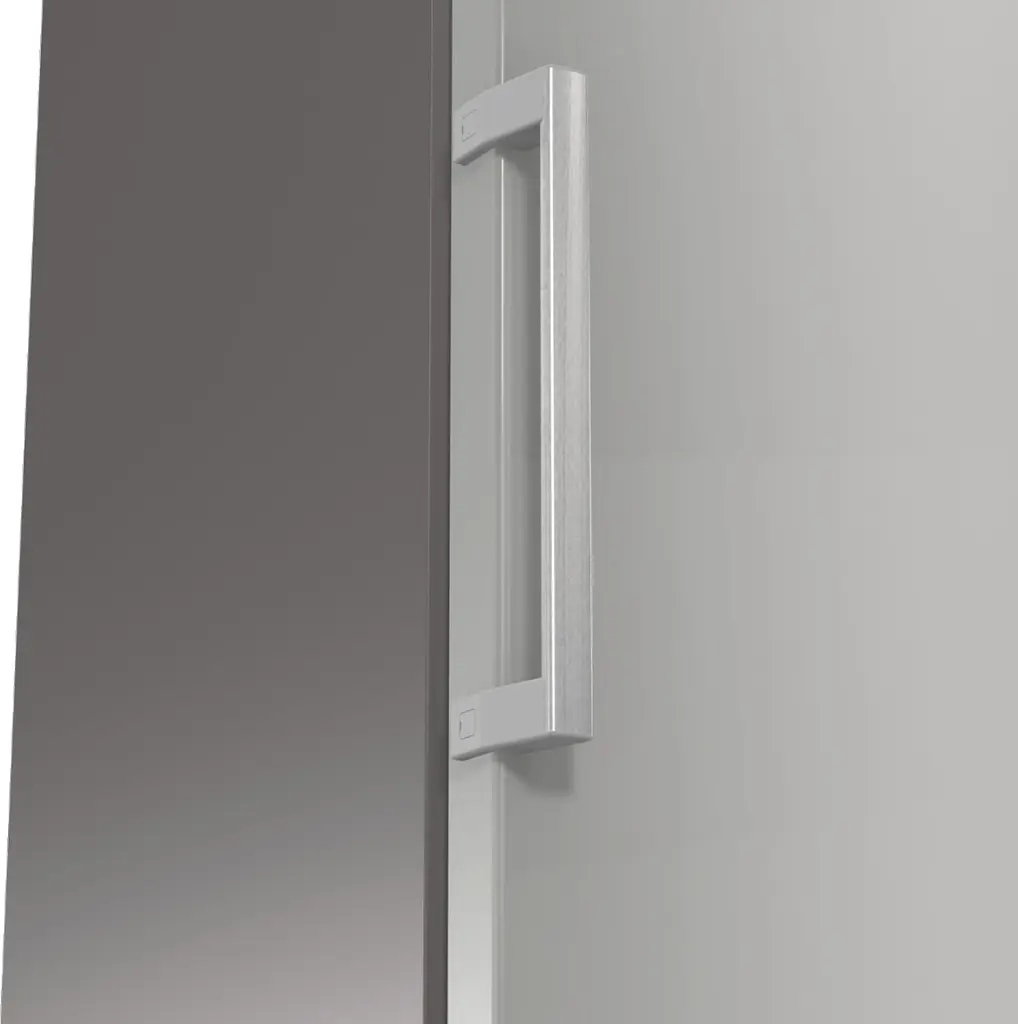 Холодильник Gorenje (R619FES5) - фото 2