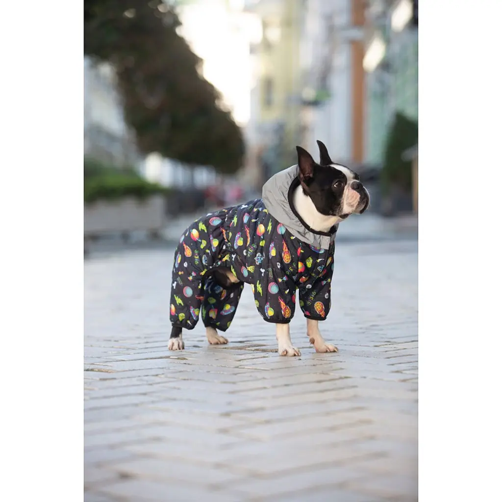 Комбінезон для собак Waudog Clothes, Рік та Морті 2, XS30 - фото 4