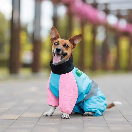 Комбінезон Pet Fashion Milly дівчинка для собак XS такса - фото 4