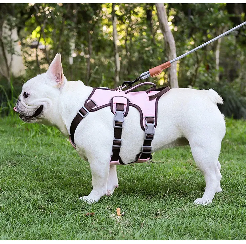 Шлея для собак Derby Pet harness FH107, L Рожевий - фото 2