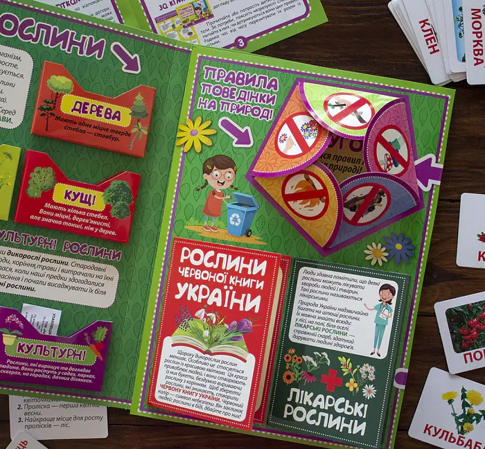 Рослини. Лепбук - - фото 2