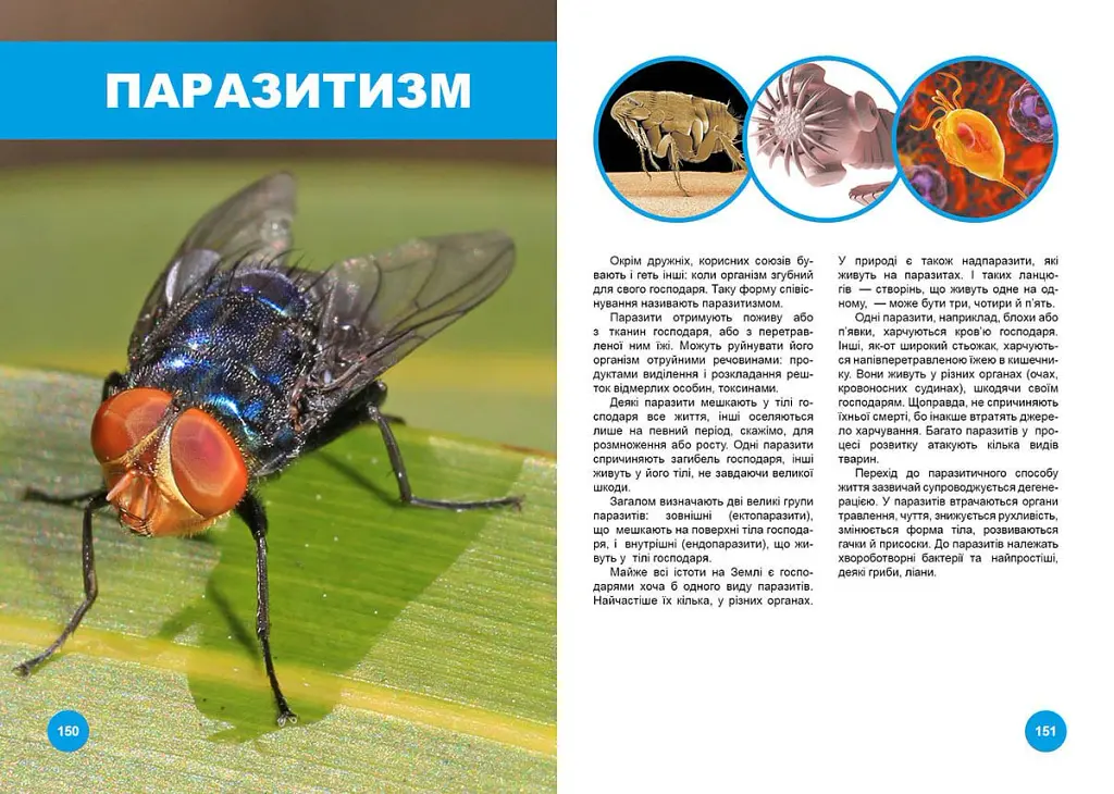 Хто з ким дружить, або дивовижі симбіозу - Василь Клімов - фото 4