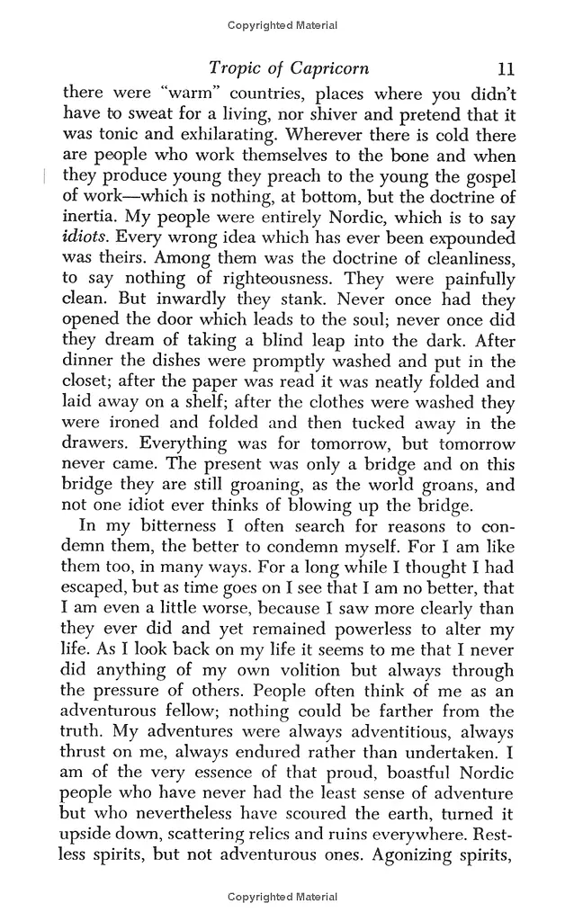 Tropic of Capricorn - фото 3