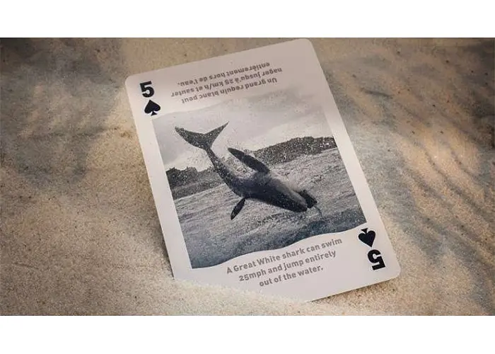 Карти гральні United States Playing Card Company Bicycle Sharks (2273) - фото 4