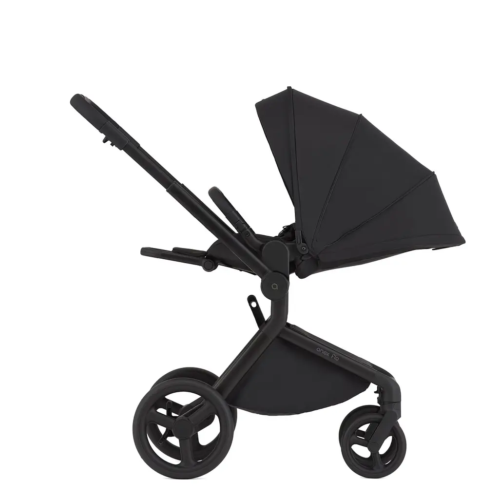 Дитяча коляска Anex Flo Lungo - фото 6