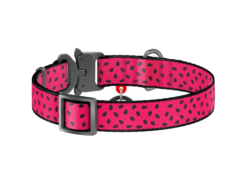 Ошейник для животных WAUDOG Nylon "Арбуз" металлическая пряжка-фастекс L (5148) - фото 2