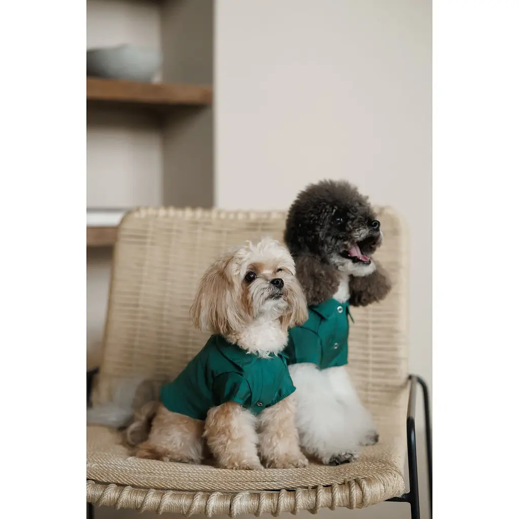 Рубашка Pet Fashion Seaman для собак XS2 - фото 6