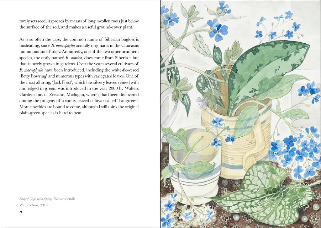 The Book of Garden Flowers - фото 6