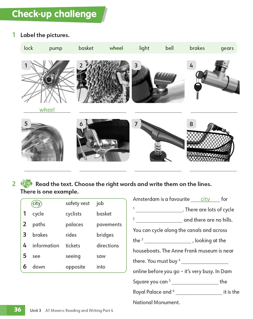 Academy Stars Second Edition Level 3 Workbook with Digital - Нік Коутс - фото 10