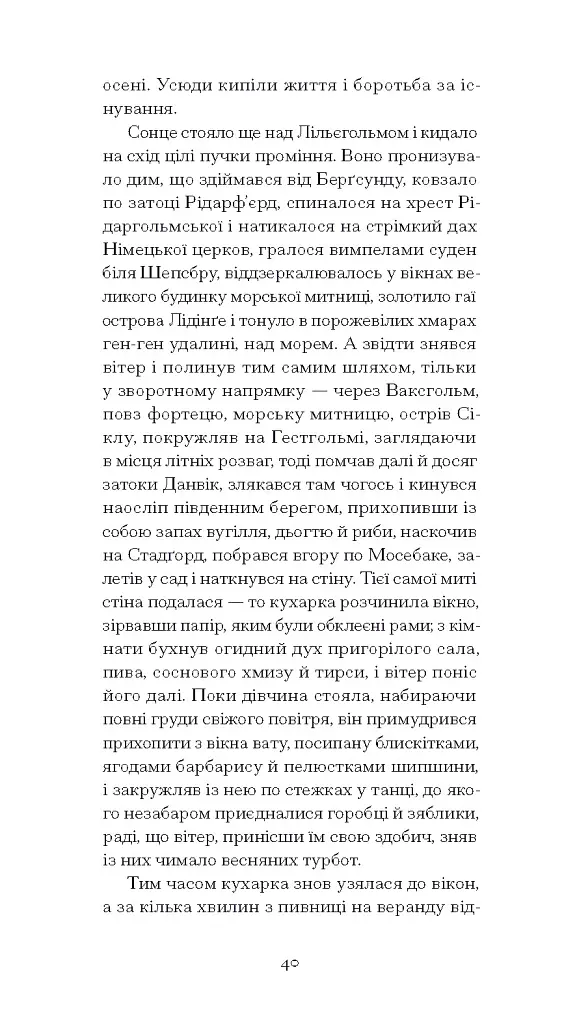 Червона кімната - Авґуст Стріндберґ - фото 12