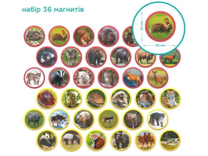 Набір магнітів Монтесорі Тварини на континентах Євразія, DoDo - фото 2