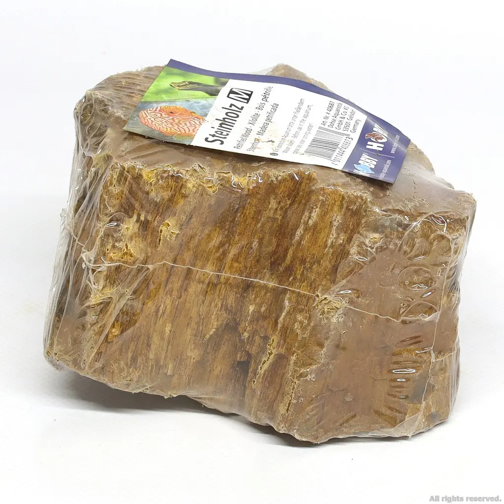 Декоративний природній камінь Hobby Petrified Wood M 1-2.2кг (40687) - фото 4