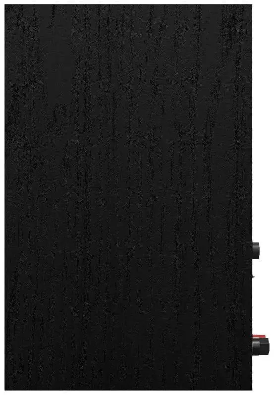 Повна активна мультимедійна акустика Klipsch Reference R-40PM Black - фото 6